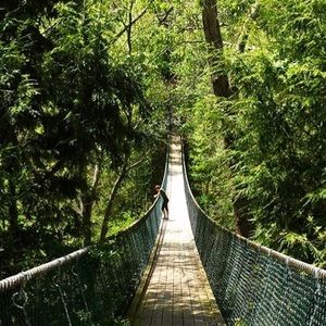 Meet your Posher, Casey